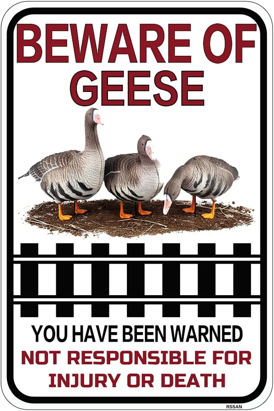 Bewre Of GEESE Metl Sgn Vntge Ретро Паб Дом Br Mn Cve Grge Сарай Плакат Tn 8x12 nch