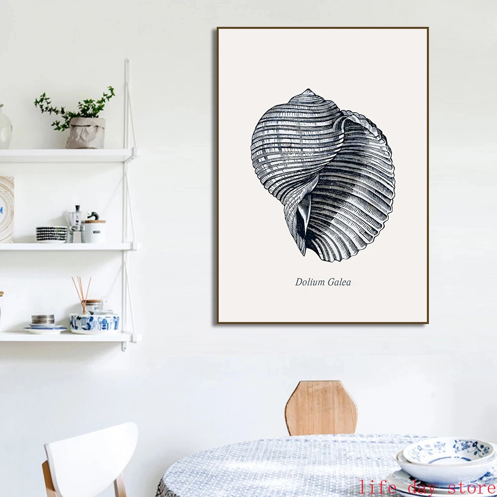 Постеры на холсте с морскими ракушками и