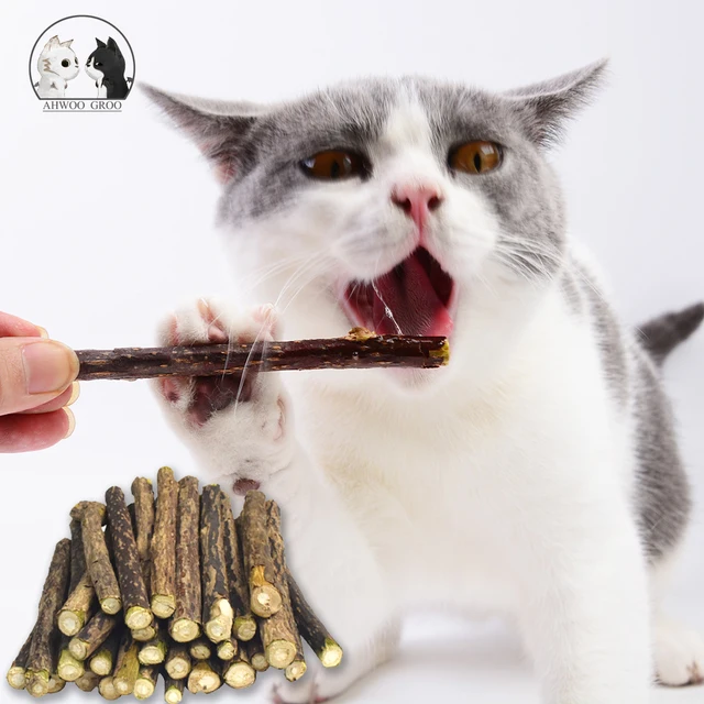 Hot Pure Natural Catnip Pet Cat Toy Suit Safety Molar Toothpaste Branch Cleaning Teeth Silvervine Cat Snacks Sticks Pet Supplies 1