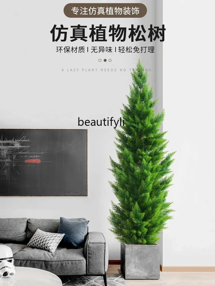 Большая эмуляционная зелень бонсай кипарис классический стиль сосна