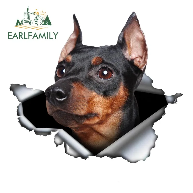 Миниатюрная Автомобильная наклейка EARLFAMILY Pinscher, 3D рваная металлическая виниловая наклейка оригинального дизайна на заднее ветровое стекло, багажник, пользовательская наклейка, графика для собак