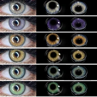 AMARA 2pcs pair Colored Contact Lenses for eyes Colored Eye Lenses PRO Contact lens Beautiful Pupil Cosmetics Yearly