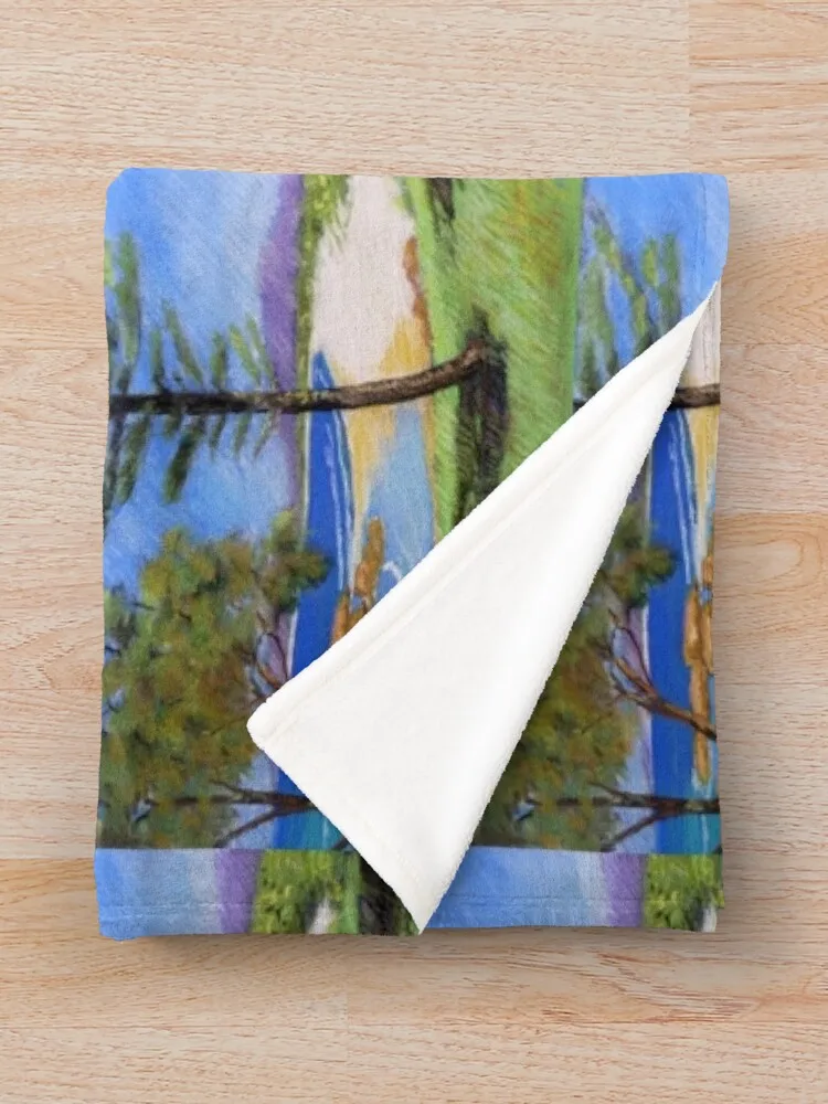 Скели Южного Запада # 3-х пледы-кровати модные декоративные кровати одеяла из