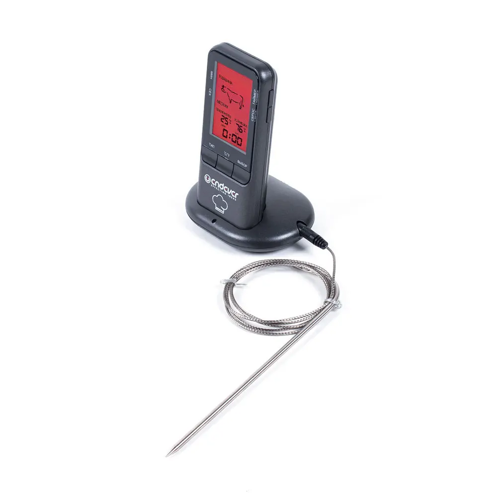 Electrothermal thermometer Endever Smart-06 | Дом и сад
