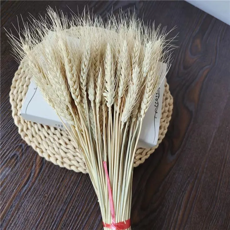 

50Pcs Real Wheat Ear Natural Dried Flowers Artificial Flowers Like Real Wedding Gift For Guests Artificial Flowers Decoration