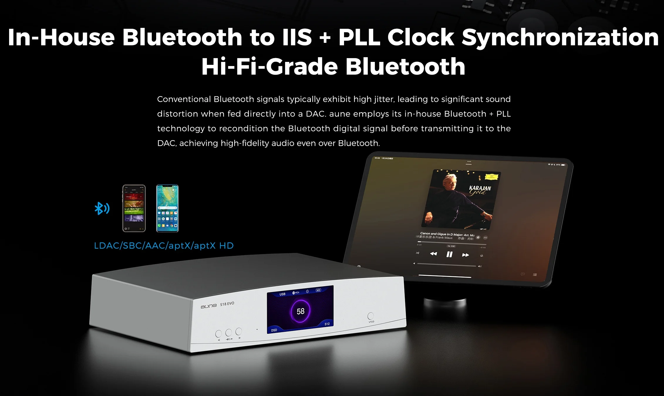 Фото AUNE S18 Evo Dual AK4497 Флагманский аудиодекодер высокого класса Hi-Fi с балансным ЦАП, Bluetooth, коаксиальным и оптическим входами, DSD №5