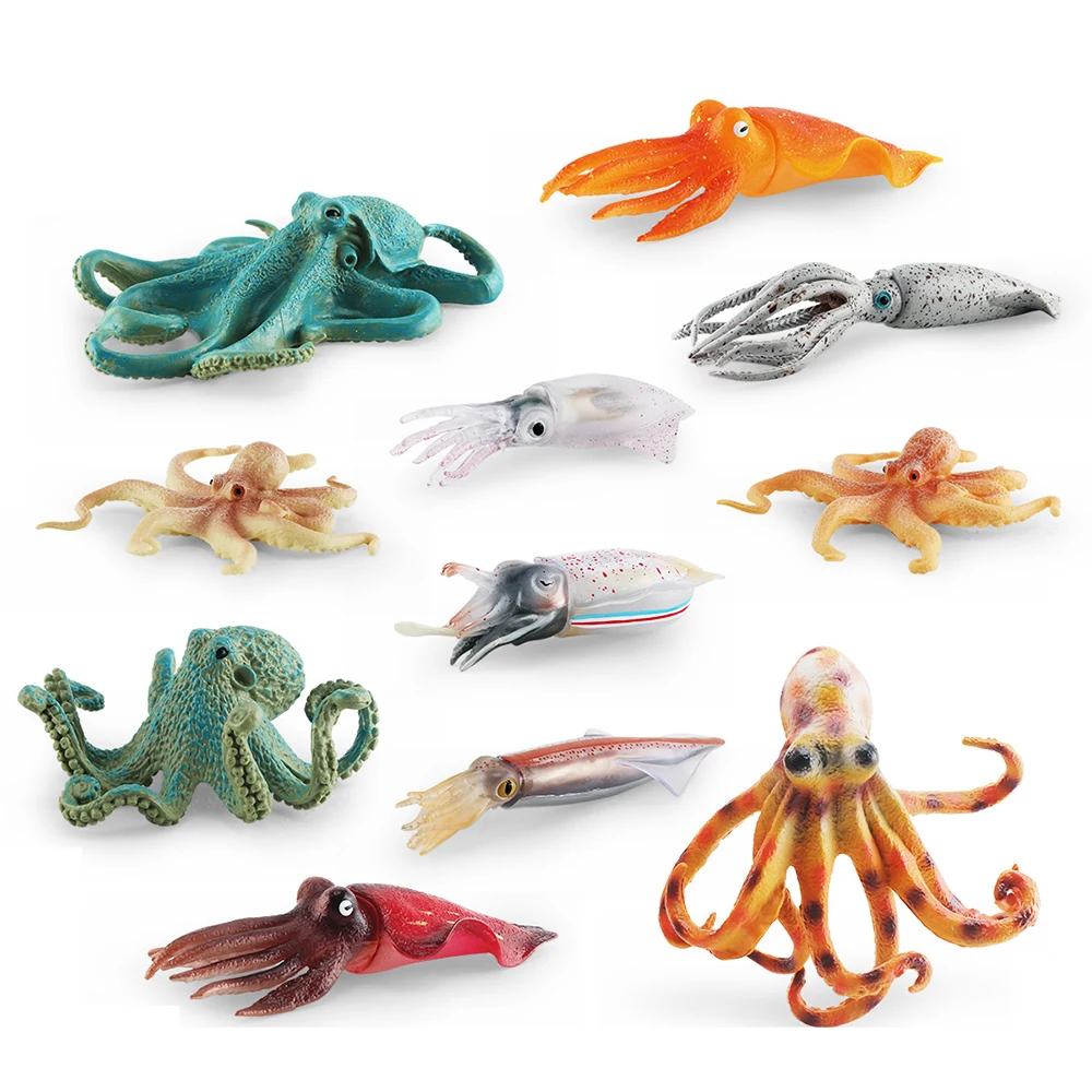 

Simulation Animals Action Figures Toys Ocean Sea Life Models Realistic Miniature Aquarium Squid Educational Gifts for Children