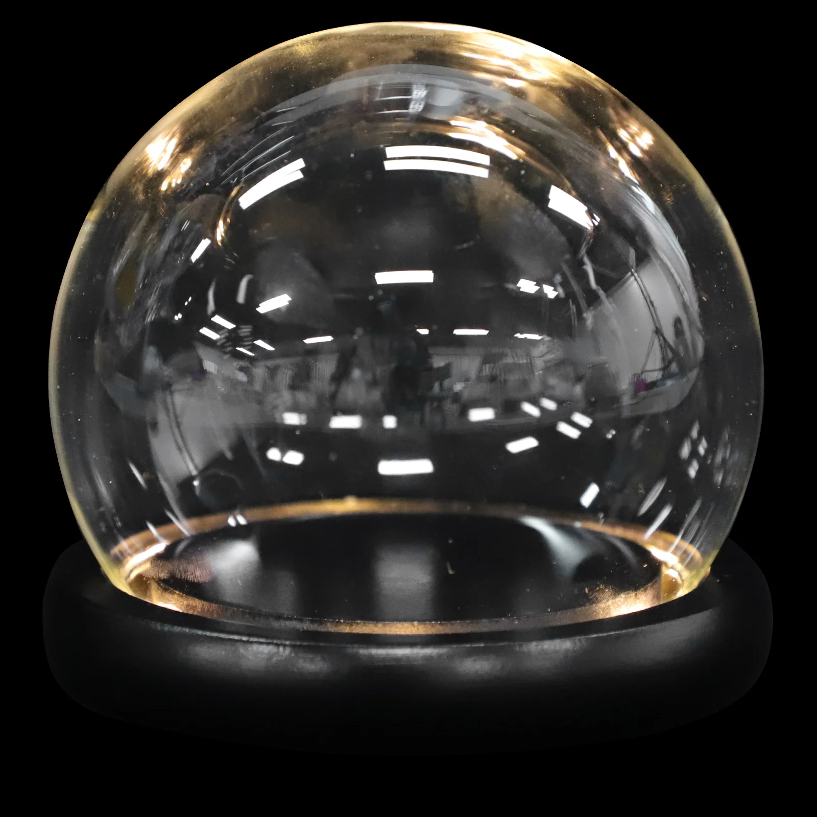 

Dome Cover Display Cloche Bell Flower Jar Basecase Sunflower Clochesdecor Decorative Rose Clear Centerpiecetabletop