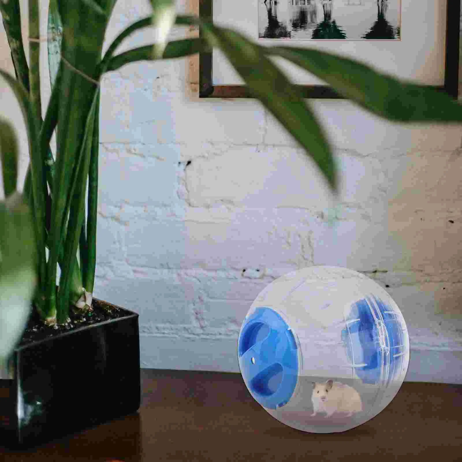 Мяч для хомяка карликовый ежик колесо мини-кролики игрушки кроликов упражнения