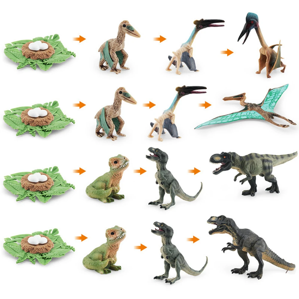 

Educational Model Toy Simulation Animals PVC Dinosaur Growth Cycle Model Toy Popular Science Scene Decoration Gift