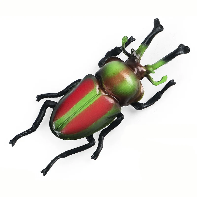 

Rainbow Stag Beetle Simulation Solid Animal Model Insect Toy Children Montessori Teaching Aids
