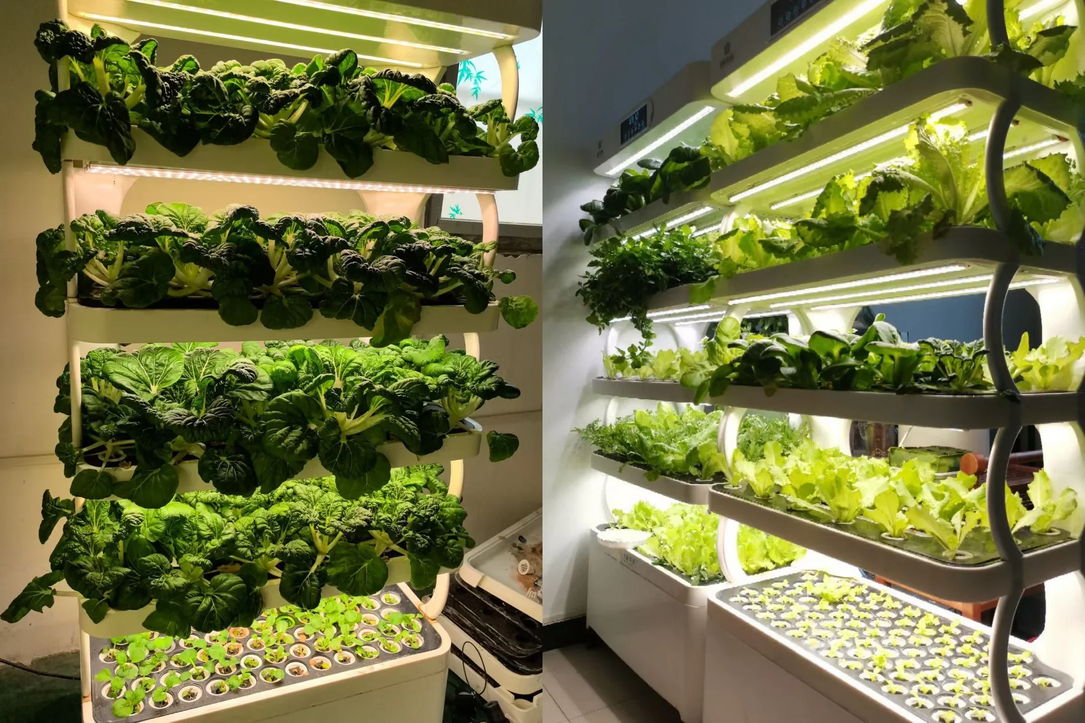 Автоматическая домашняя садовая умная ферма для выращивания гидропонной