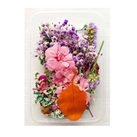 real dried flowers plants pressed for resin jewellery making craft diy accessory