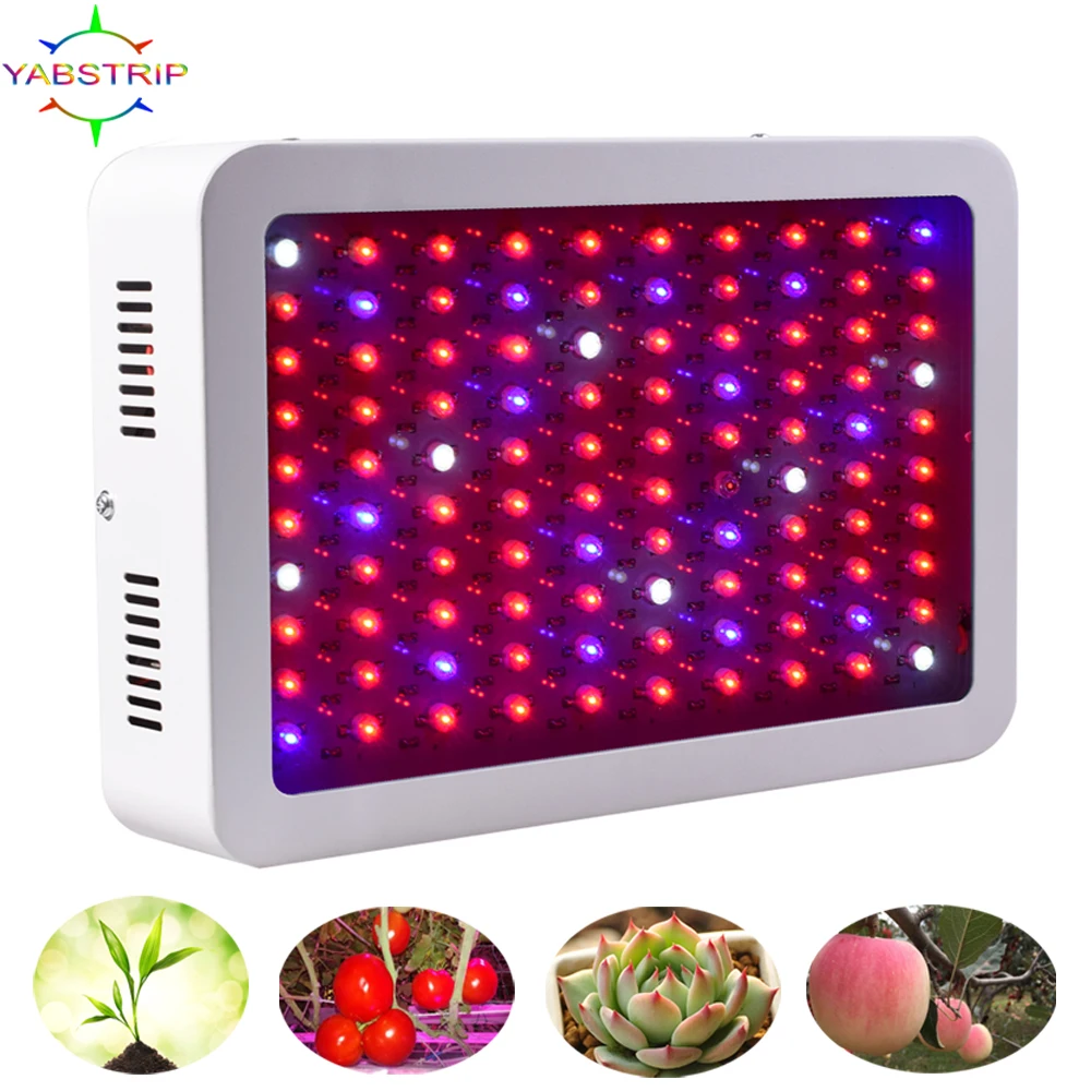 600W LED Grow Light LED Full Spectrum Fitolampy Phyto Lamp For Greenhouse Vegetable tent grow box Plant Lighting Fitolampy
