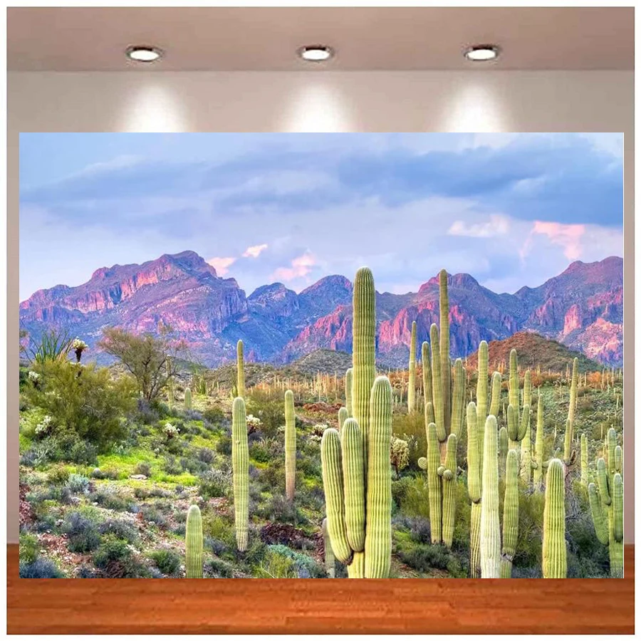 

National Park Arizona Desert Photography Backdrop Cactus Background Green Plants Mountain Scenery Nature Mexican Western Decor