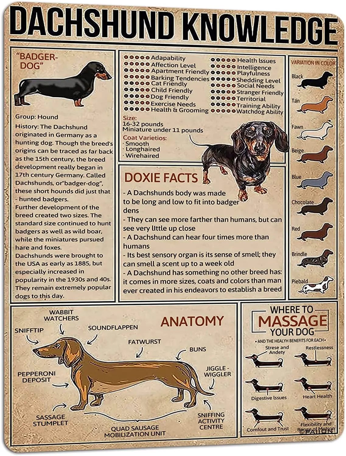 

Знания персонажей PAIION Dachshunds, металлический знак, ВИНТАЖНЫЙ ПЛАКАТ для дома, бара, кофе, кухни, Настенный декор, украшение для любимых собак, металлический знак