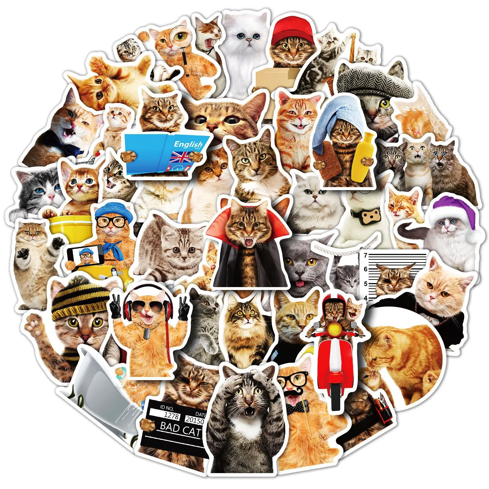 

50 реалистичных наклеек с кошками, забавные детские наклейки «сделай сам», наклейки с милыми маленькими животными и кошками