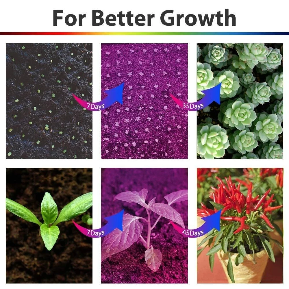 COB LED Grow Light Полный спектр 150 Вт 3000 К 3500 К 5000 К 85-265 В Светодиодная лампа для выращивания растений для комнатной палатки Теплицы Гидропонные растения (art.: 3920cebd76380) - 3920cebd76380