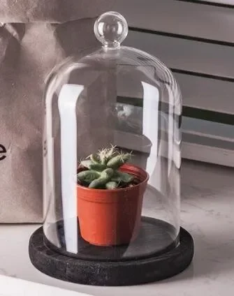 

Стеклянная крышка для свечи