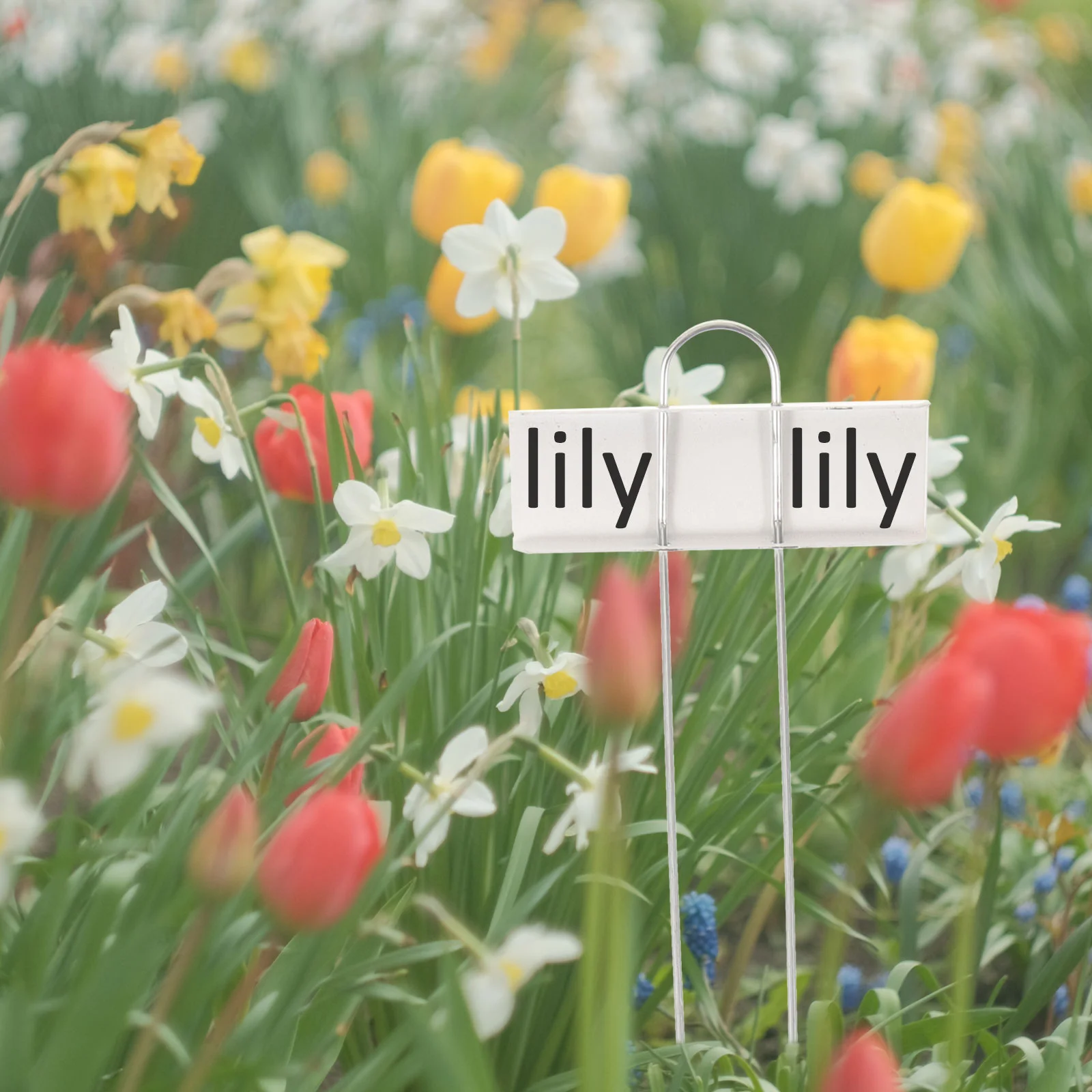 12 шт. металлические бирки для растений категория садовые маркеры именные