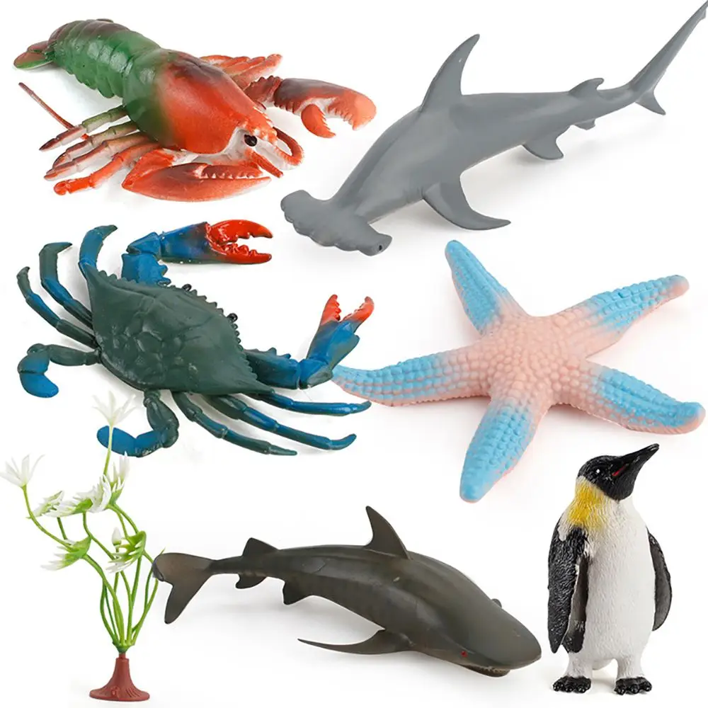 

Образовательная игрушка морская сцена модели морских организмов кальмар Акула Дельфин коралловые водоросли Морская звезда реалистичные фигурки Sealife