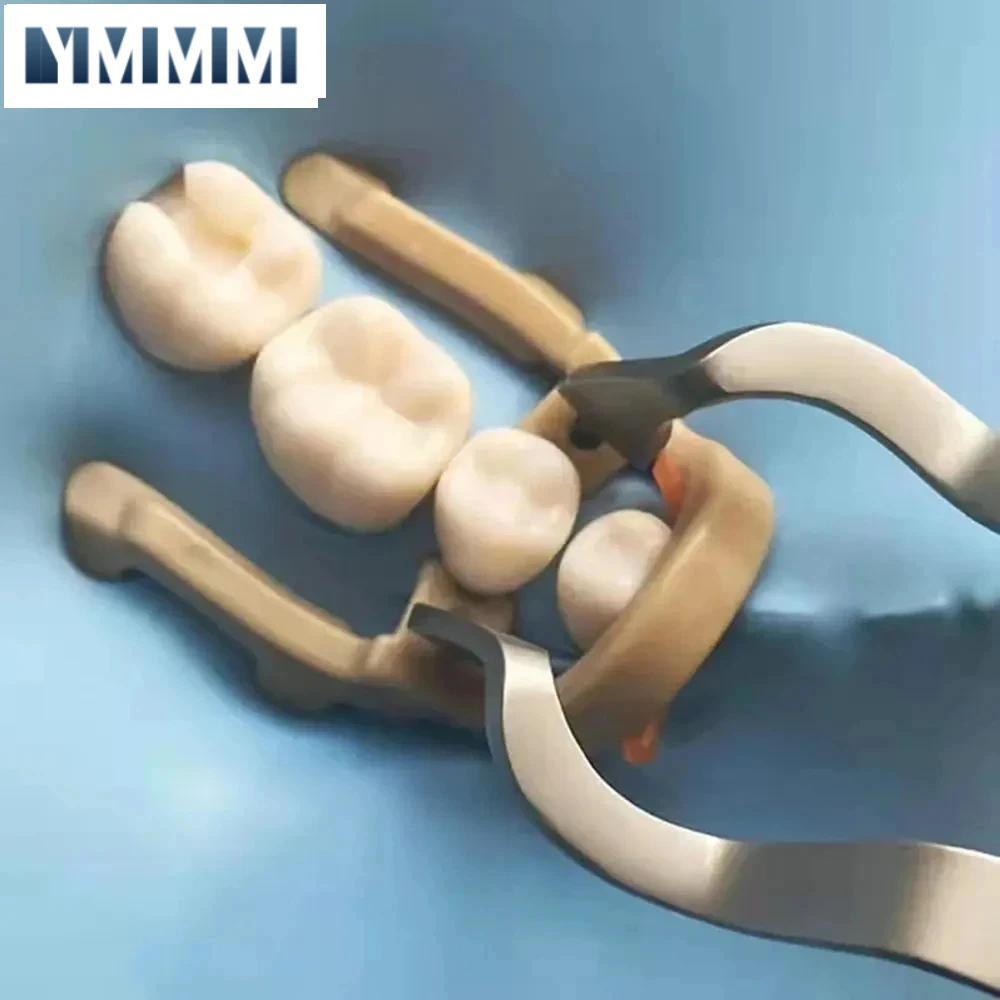 Стоматологический инструмент 2 шт. в упаковке Дистальный удлинитель премолярный