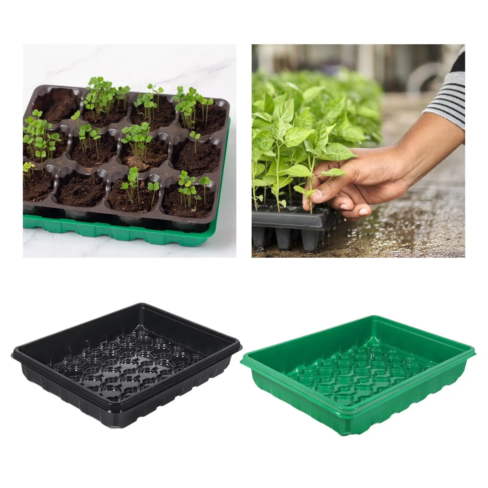 Стартовый лоток для семян проращивания растений выращивания рассады почвы