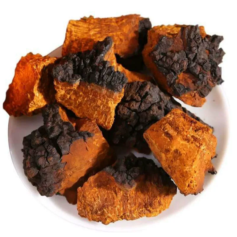 

Inonotus Obliquus Chaga Bai Hua Rong