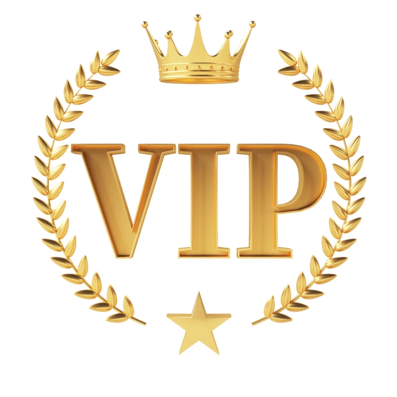 

VIP Link for Special Customer CA
