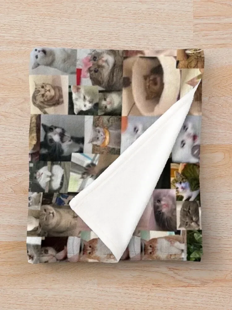 Одеяло Ultimate Sad Cats (4K) Покрывала на диван Одеяла
