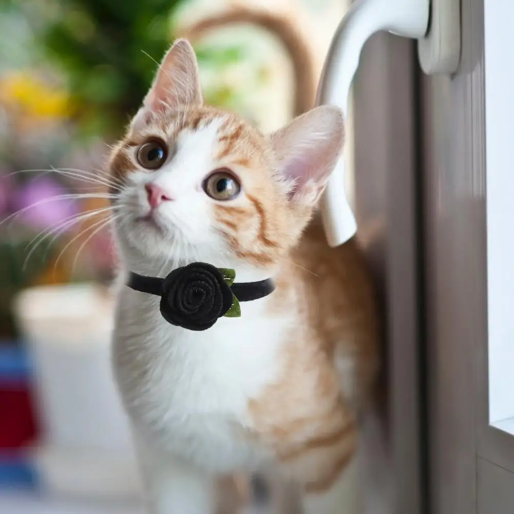 

Полиэстеровый шейный ремешок с мини-колокольчиком, 5 цветов