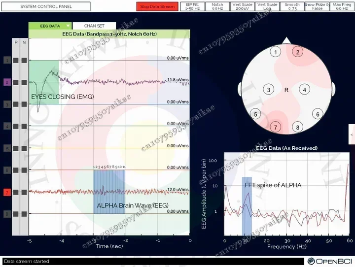 Модуль EEG Openbci V3 с открытым исходным кодом — 8/16 каналов официальная беспроводная