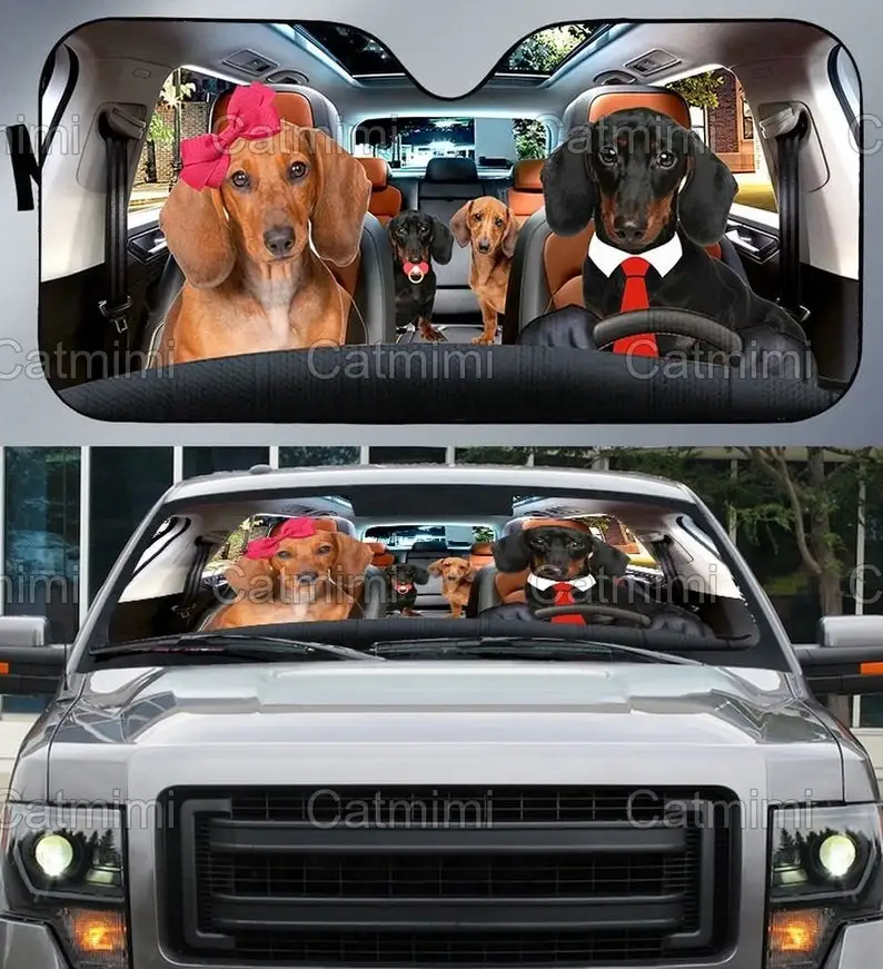 

Dachshund Car Sun Shade, Dachshund Sun Shade, Car Sunshade Windshield, Dachshund Car Decor, Dachshund Gifts, Gifts For Her MCL16
