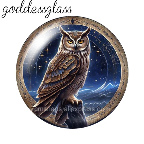 New Moon night Owl mysterious style 10pcs 12mm/18mm/20mm/25mm Round Photo glass cabochon demo flat back Making findings