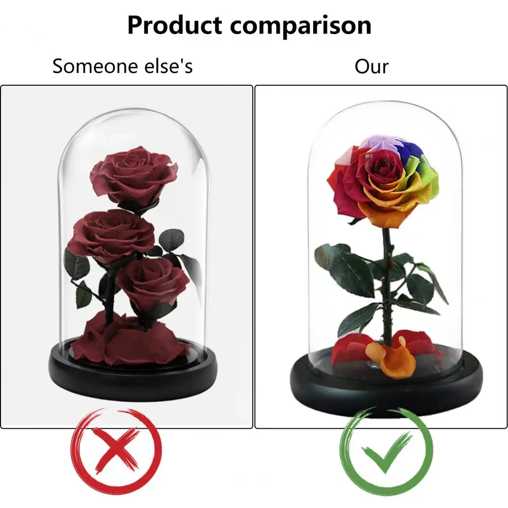 

Attractive Eternal Rose in Glass Dome Anti-fade Preserved Flower Nice-looking Rose in Glass Dome Birthday Gift Decorative