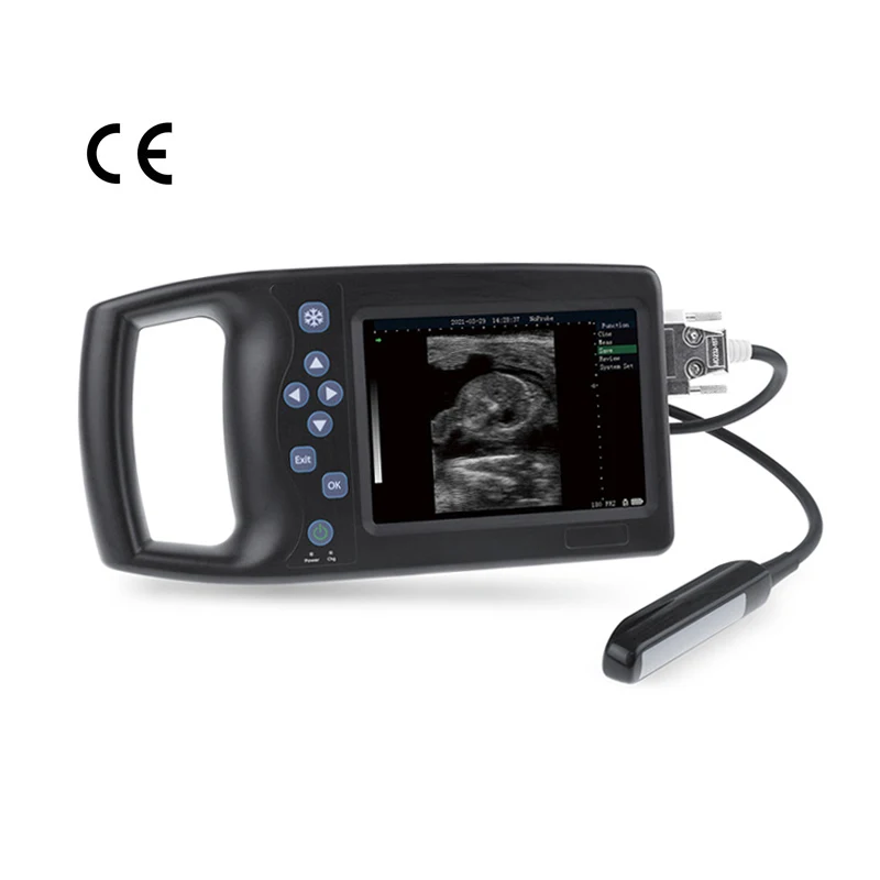 

pregnancy ultrasound machine portable for Cattle, horse, sheep and pig