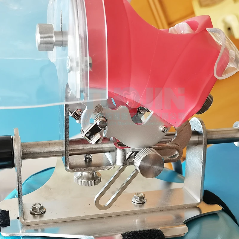 Стоматологическая лампа с зубами для обучения стоматологии модель стоматолога