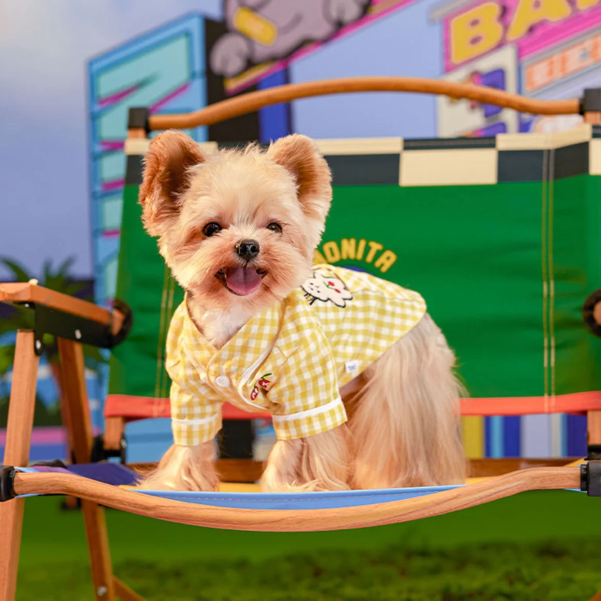 

Spring summer clothes for pet, puppy, French Bulldog