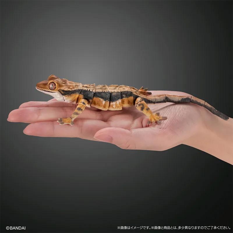 Bandai Gashapon биографическая энциклопедия Хохлатая собака Gecko 02 мобильный ползание