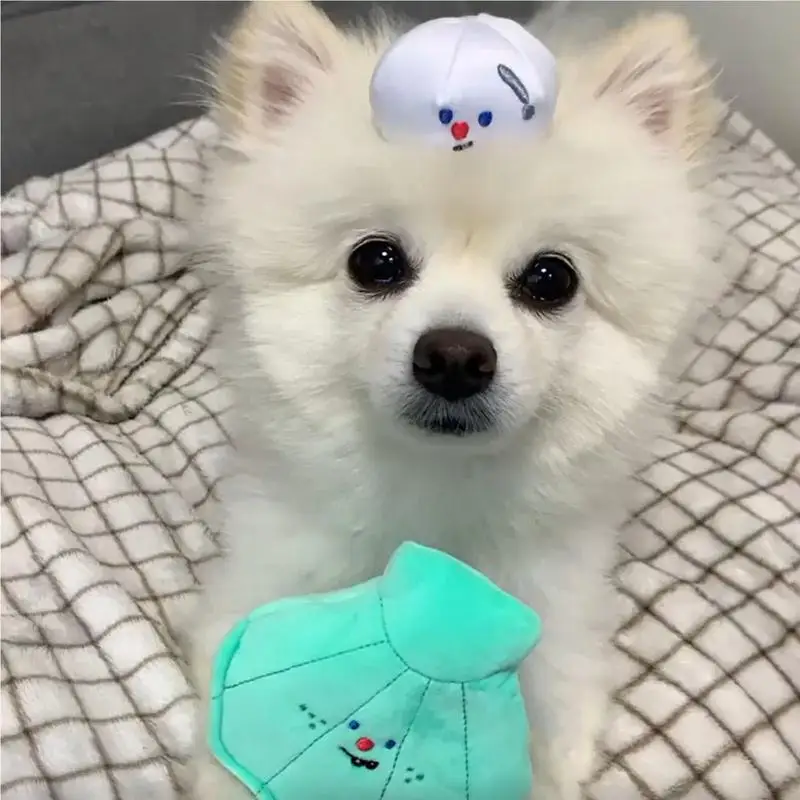 Мягкие плюши для собак планшетофон интерактивных игр собаки двора лужайки