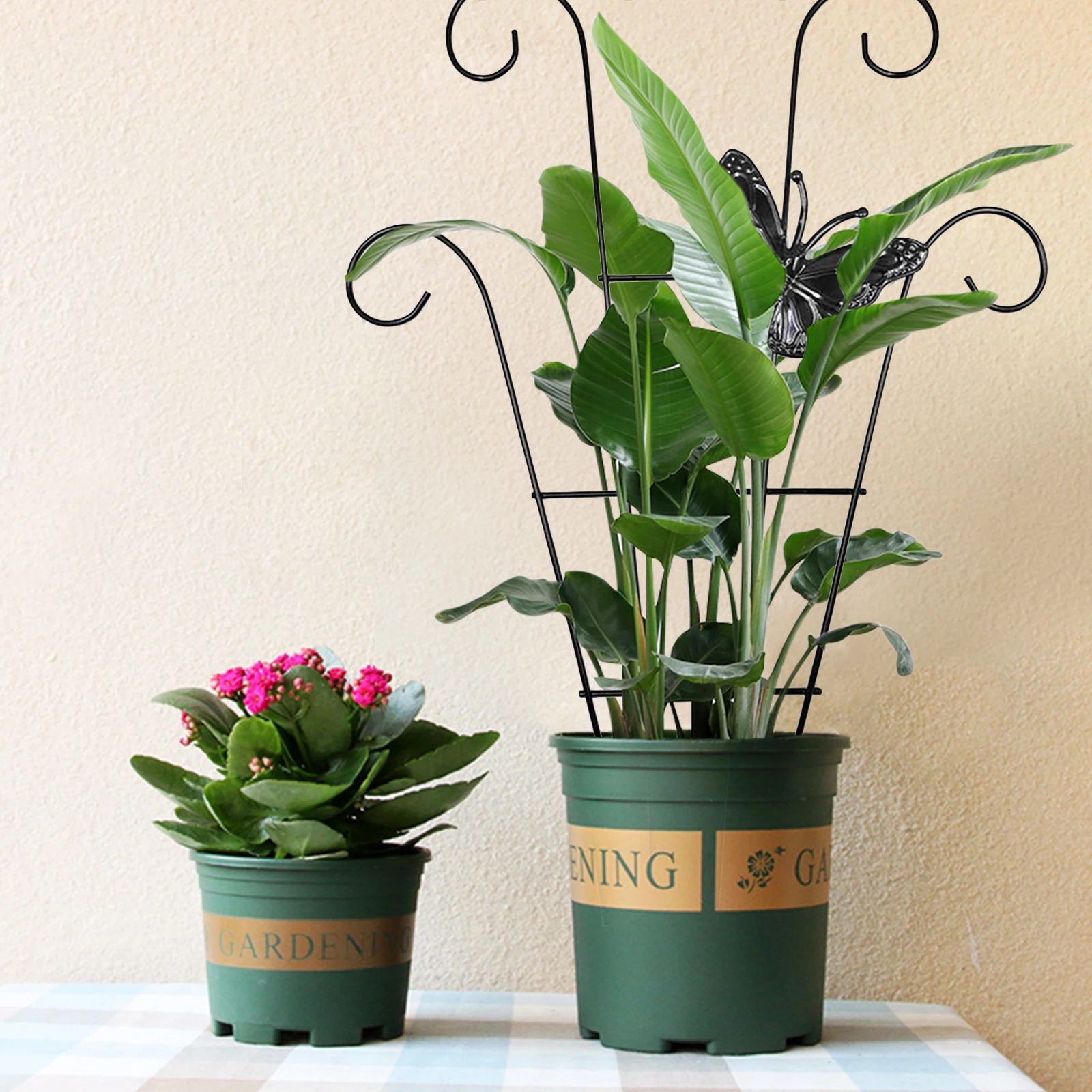 

Стойка для подъема растений, металлический кронштейн из ротанга для роста лозы, для выращивания цветов и овощей, садовые инструменты для заднего двора