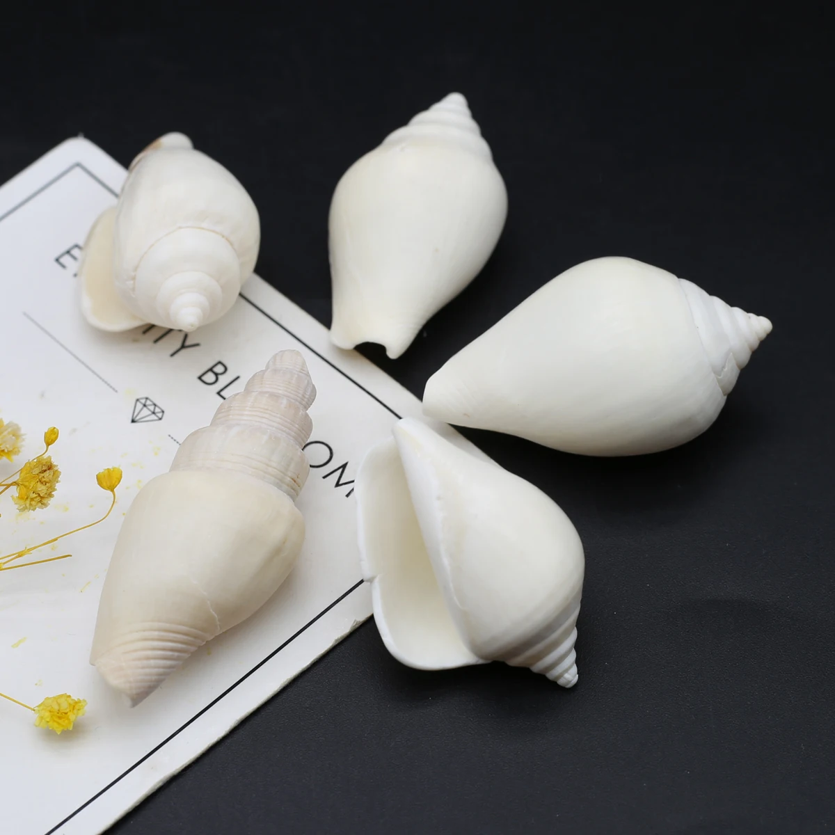 

100G DIY Shell Beads White Snail Shell Bead Without Hole Bathtub Landscaping For Jewelry Making DIY Clothes Accessory