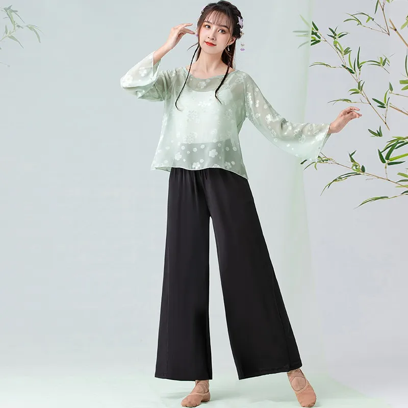 

Classical Dance Gauze Clothes Professional Modern Dance Loose Blouses Pants Latin/Rumba Dance Practice Sports Costumes DQL5986