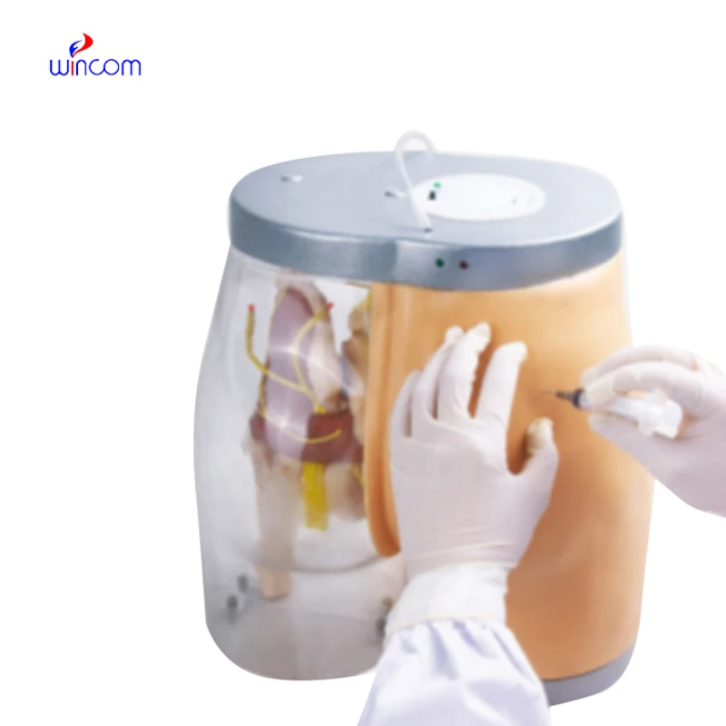 Медицинская наука профессиональная доставка механизм для родов обучающая