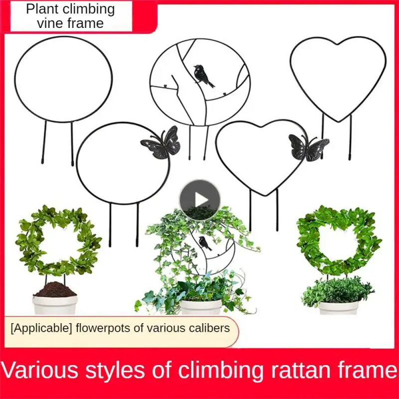 

Durable Flower Pot Vine Trellis Holder Iron Strong Toughness Plant Climbing Frame Household Garden Decoration Drust-proof