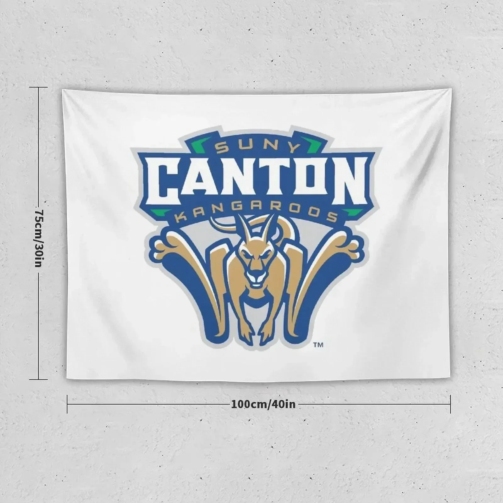 SUNY Canton cangaroos Гобелен Настенные украшения Декор для ванной комнаты