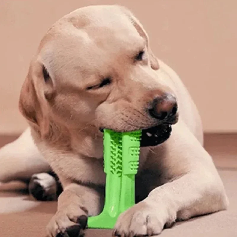 

Dog Toys Interactive Rubber Pet Toys Chew Bite Cleaning Dog Tooth Brush For Small Puppy Large Dog Accessories Supplier Dropship