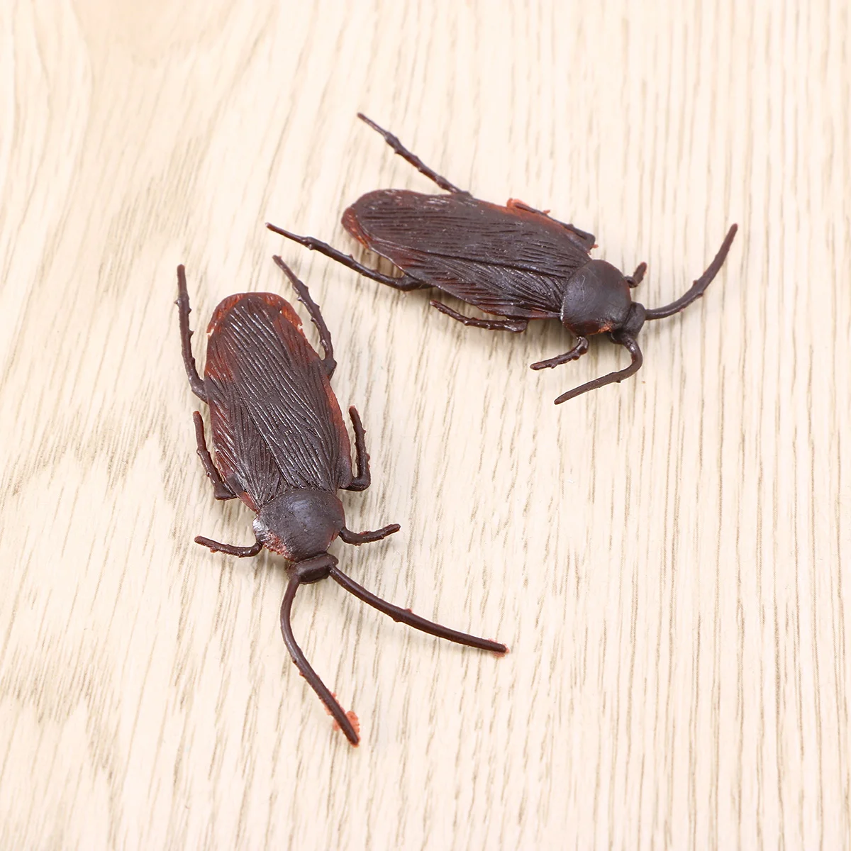 

Cockroachs Trick or Treat Props Trick Joke Bugs Roaches Scary Bugs