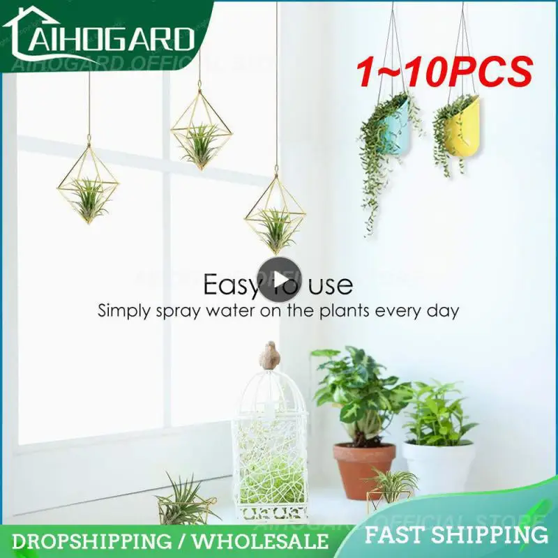 

1 ~ 10 шт. подвесная фотография для отображения воздушных растений с цепями, настенная подвесная Геометрическая фотография