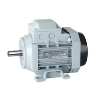 China Factory Price Ac Motor Factory Supply 3 Phase Asynchronous Electric Motor 3000Rpm 1500Rpm 2Hp 3Hp 20Hp